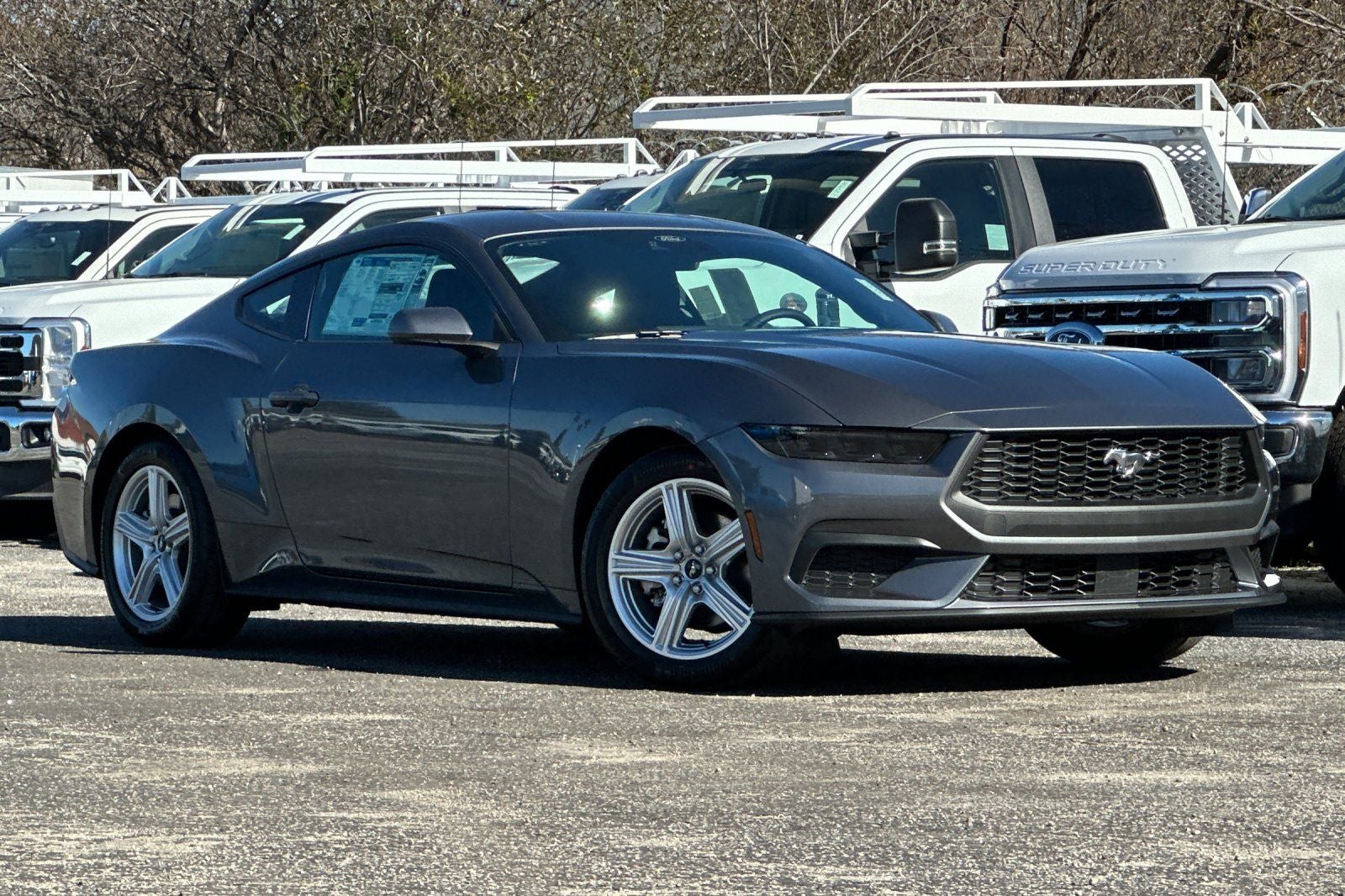 2026 Ford Mustang EcoBoost in Carbonized Gray Metallic — front three-quarter view