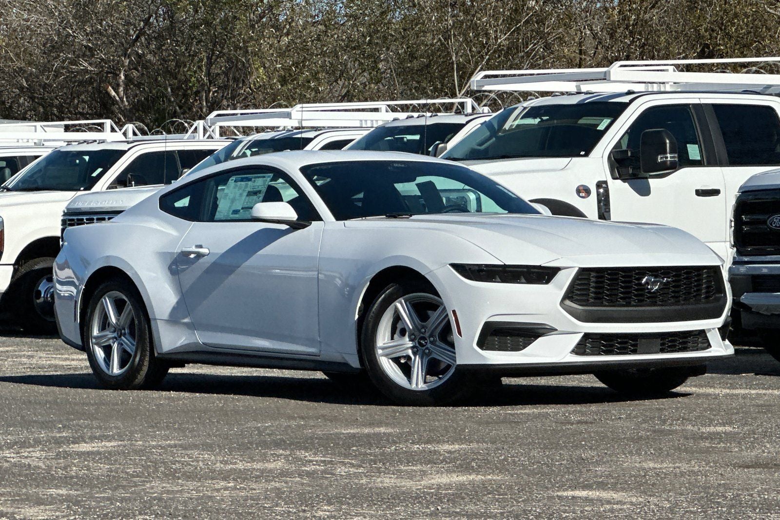 2026 Ford Mustang EcoBoost in Oxford White — front three-quarter view
